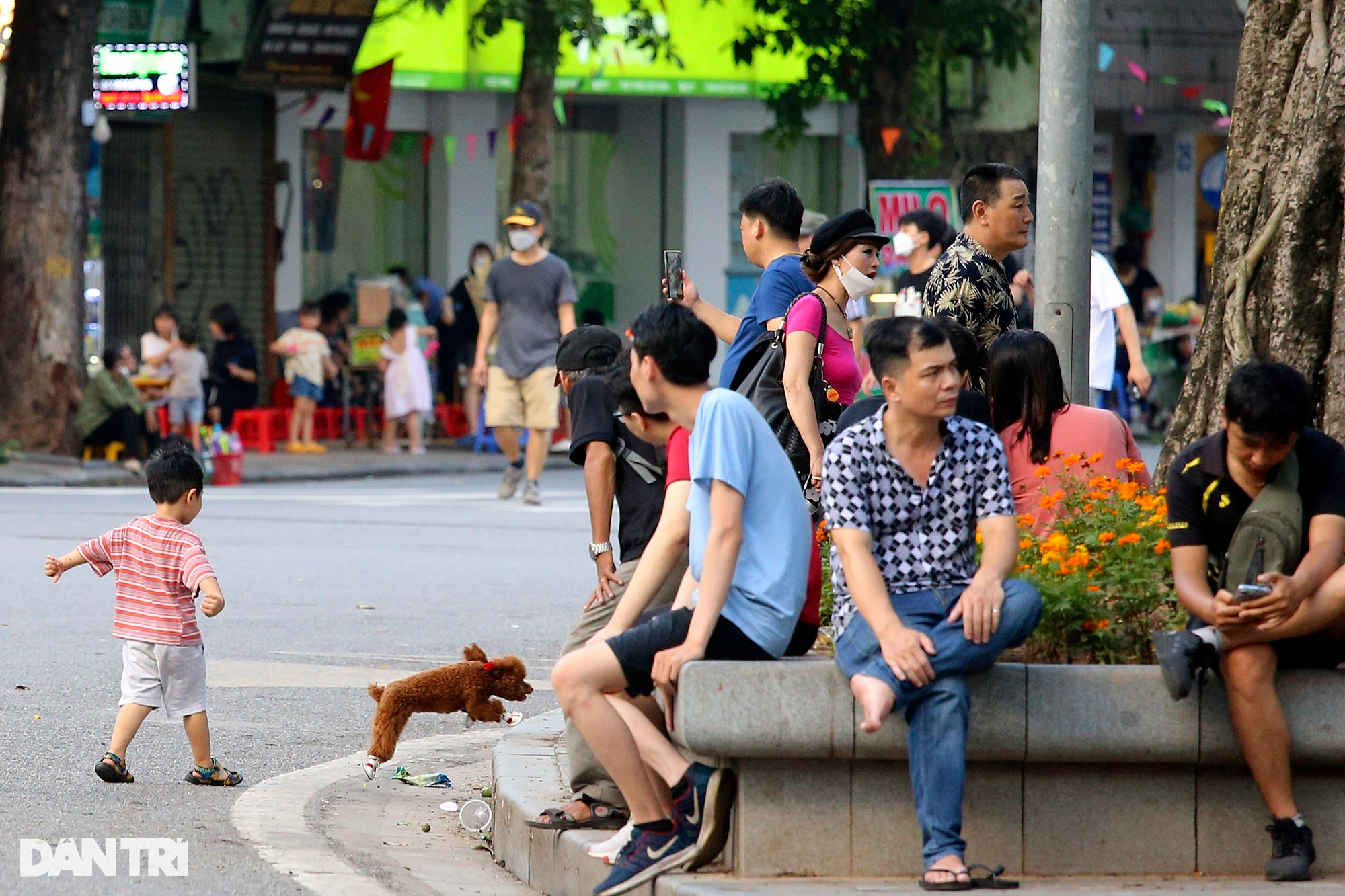 Tràn ngập chó trên phố đi bộ hồ Gươm bất chấp TP Hà Nội đã quy định cấm - 5