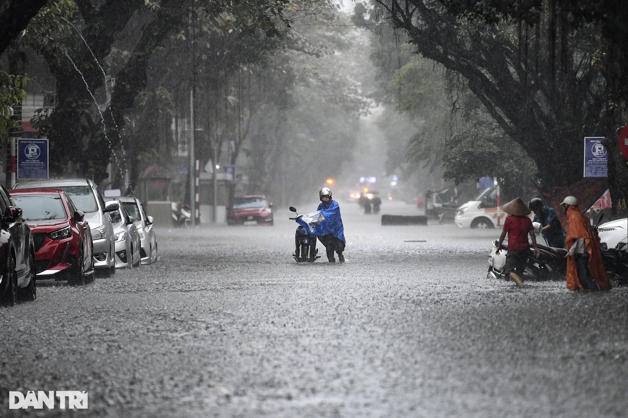 Cận cảnh nhiều xe sang Mercedes ngập sâu trong nước sau mưa lớn ở Hà Nội - 14