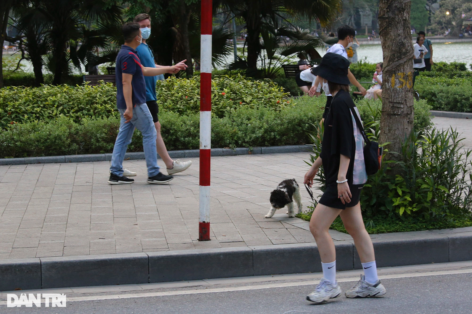 Tràn ngập chó trên phố đi bộ hồ Gươm bất chấp TP Hà Nội đã quy định cấm - 7