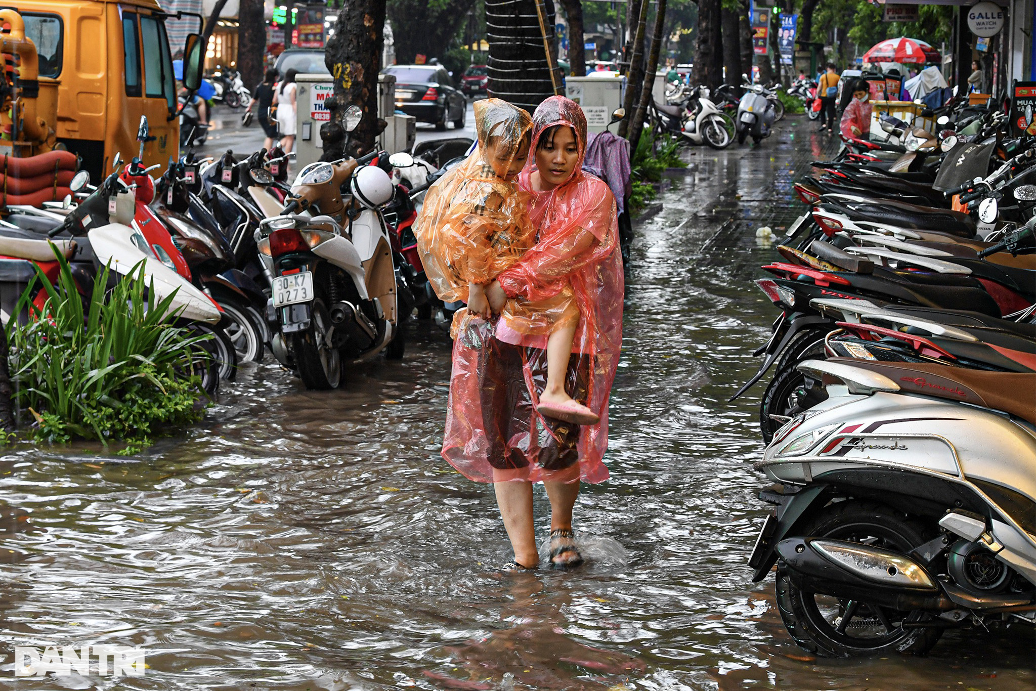Cận cảnh nhiều xe sang Mercedes ngập sâu trong nước sau mưa lớn ở Hà Nội - 16