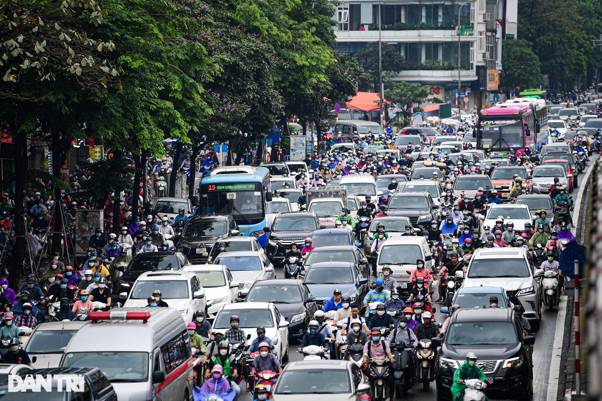 Mưa lớn trong đêm ở Hà Nội: Cây to bật gốc đè vào nhà dân trên phố cổ - Ảnh 9.