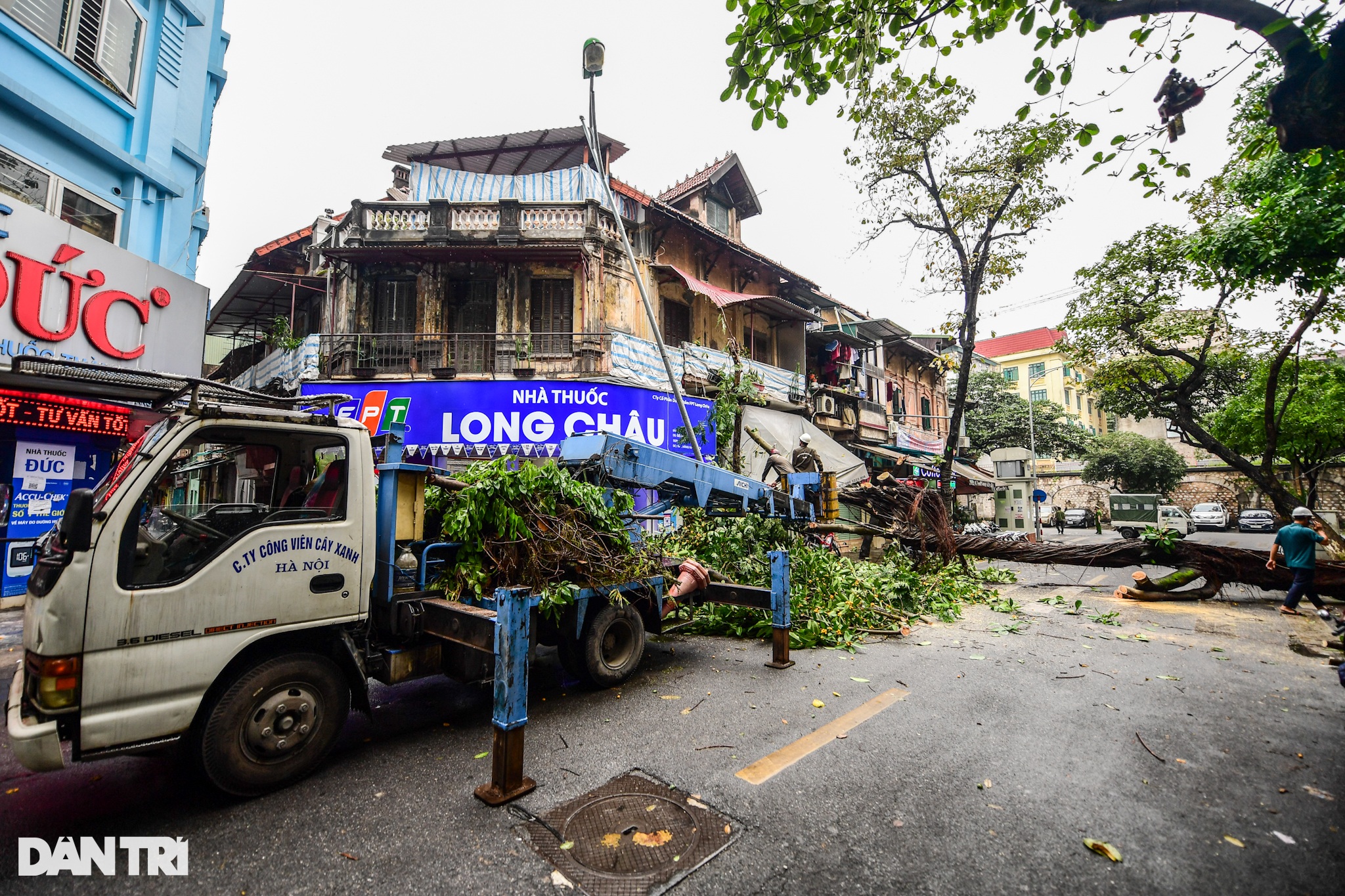 Mưa lớn trong đêm ở Hà Nội: Cây to bật gốc đè vào nhà dân trên phố cổ - Ảnh 4.