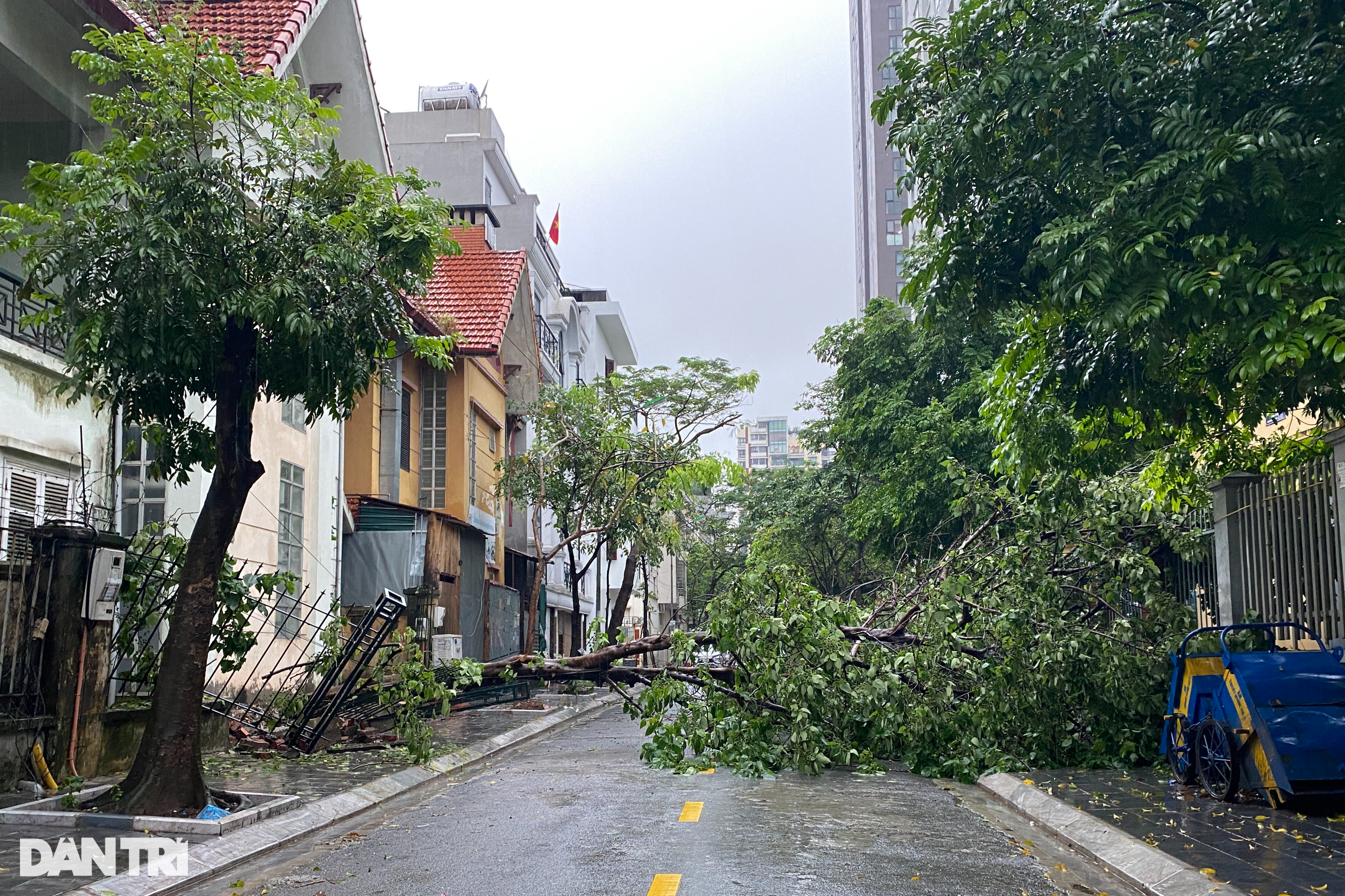 Mưa lớn trong đêm ở Hà Nội: Cây to bật gốc đè vào nhà dân trên phố cổ - Ảnh 6.