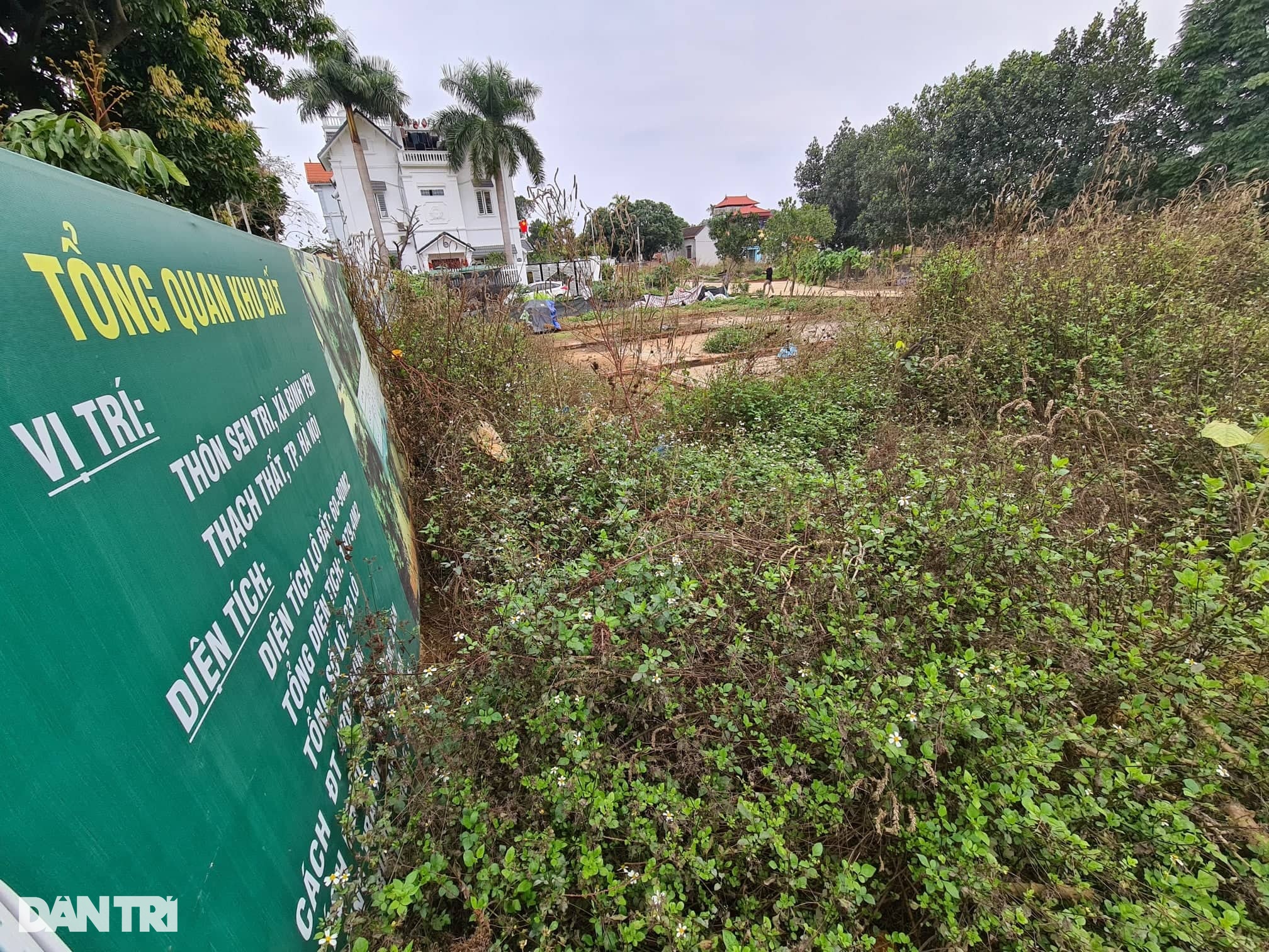 Dấu hiệu mới trên thị trường bất động sản - 1 Dấu hiệu mới trên thị trường bất động sản - 1