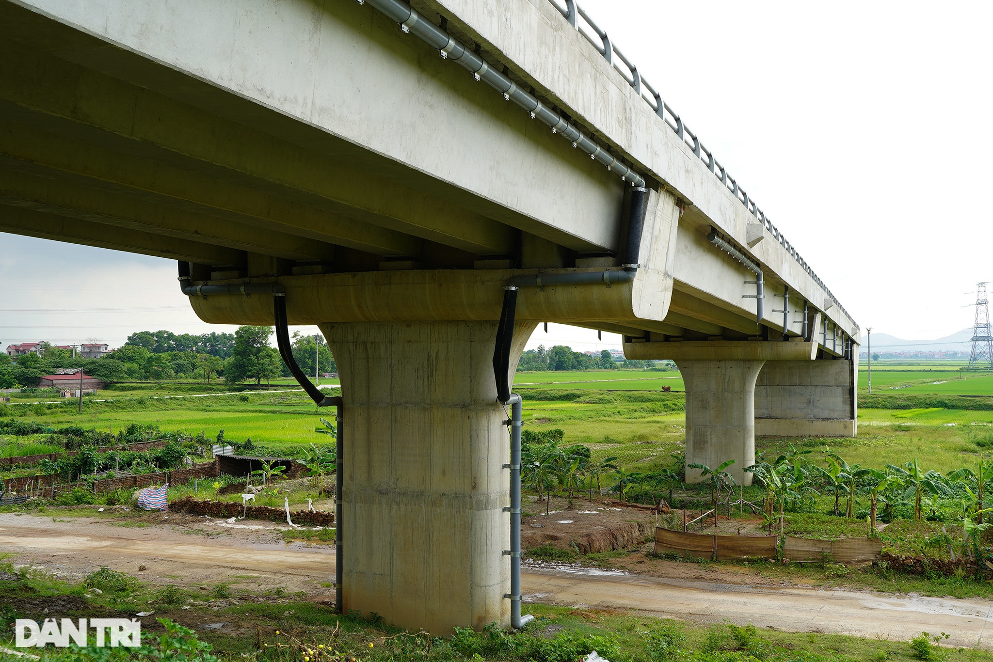 Cây cầu trăm tỷ xây xong bị bỏ hoang 2 năm trên đường vành đai 4 ở Hà Nội - 6