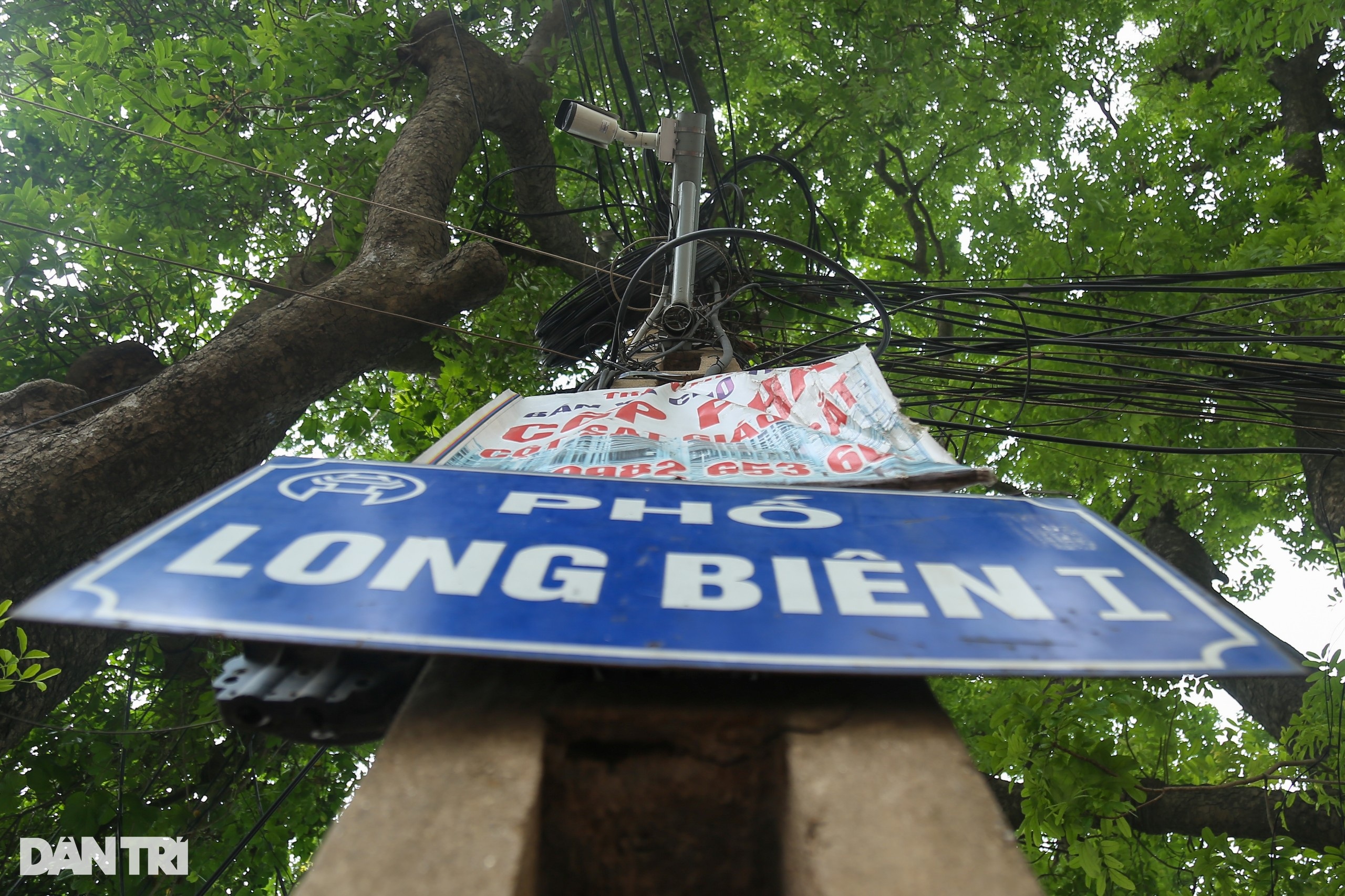 Hà Nội: Điểm mặt 8 camera phạt nguội trên cầu Long Biên - 13
