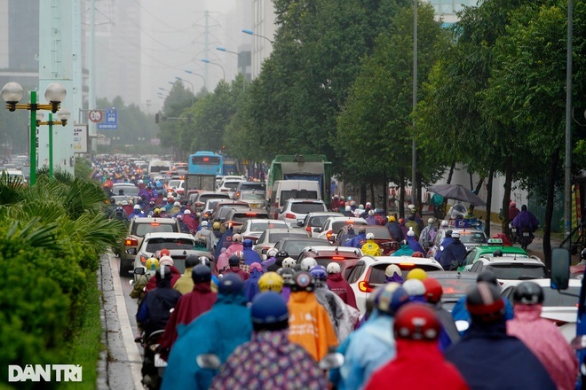 Vì sao rừng bê tông mọc ở đường Lê Văn Lương? - 2