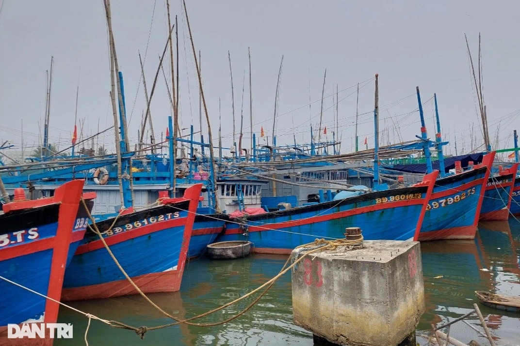 Đề nghị Bộ Công an điều tra đường dây đưa tàu cá ra nước ngoài đánh bắt - 1