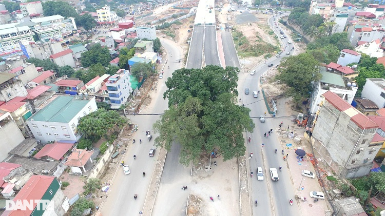 Cây đa trăm tuổi bị gãy nhánh: Sẽ rà soát sức khỏe của cây - 2