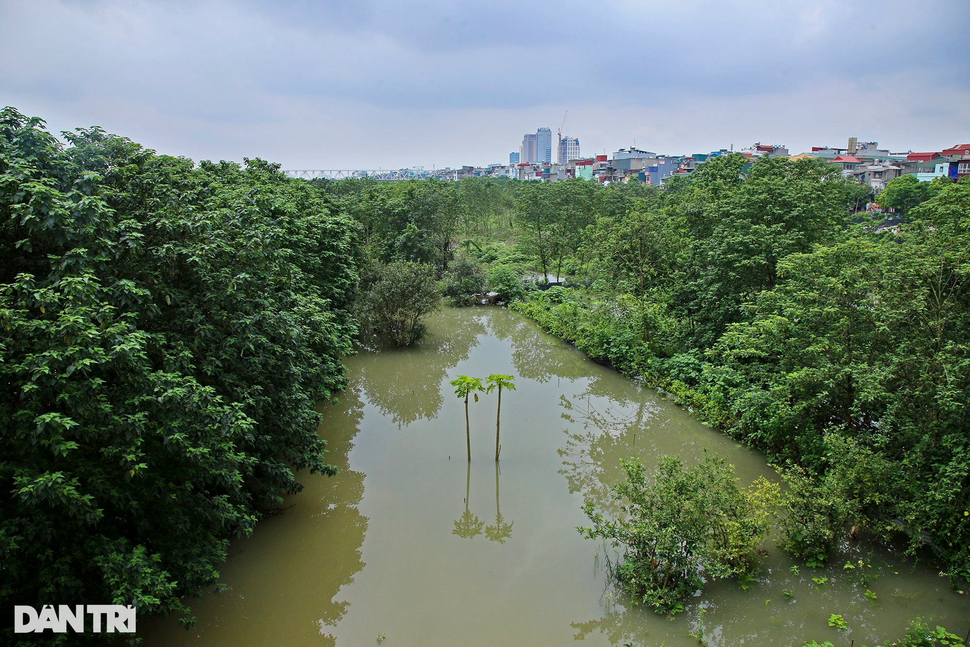 Hình ảnh nước sông Hồng dâng cao gây ngập lụt nhiều nơi ở Hà Nội - 11