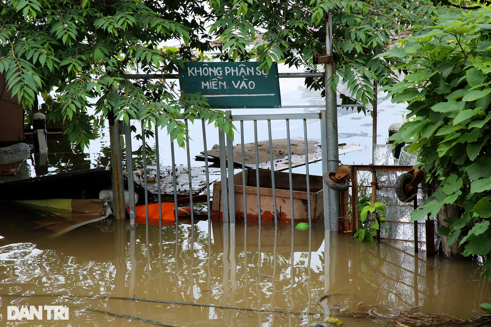 Hình ảnh nước sông Hồng dâng cao gây ngập lụt nhiều nơi ở Hà Nội - 6