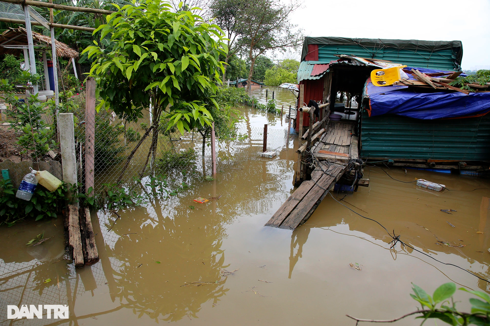 Hình ảnh nước sông Hồng dâng cao gây ngập lụt nhiều nơi ở Hà Nội - 8
