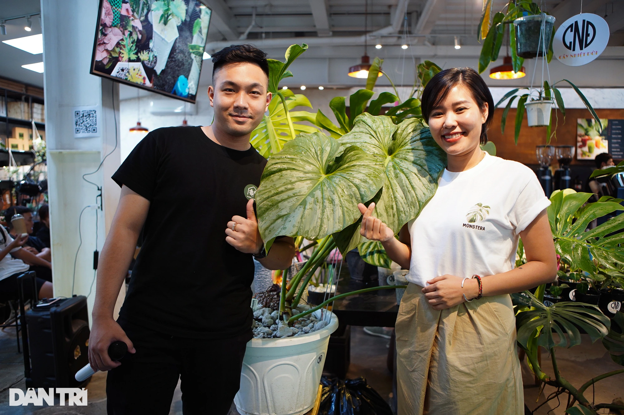 View - Choáng với thú chơi lá kiểng bạc tỷ của những dân chơi ở Hà Nội | Báo Dân trí