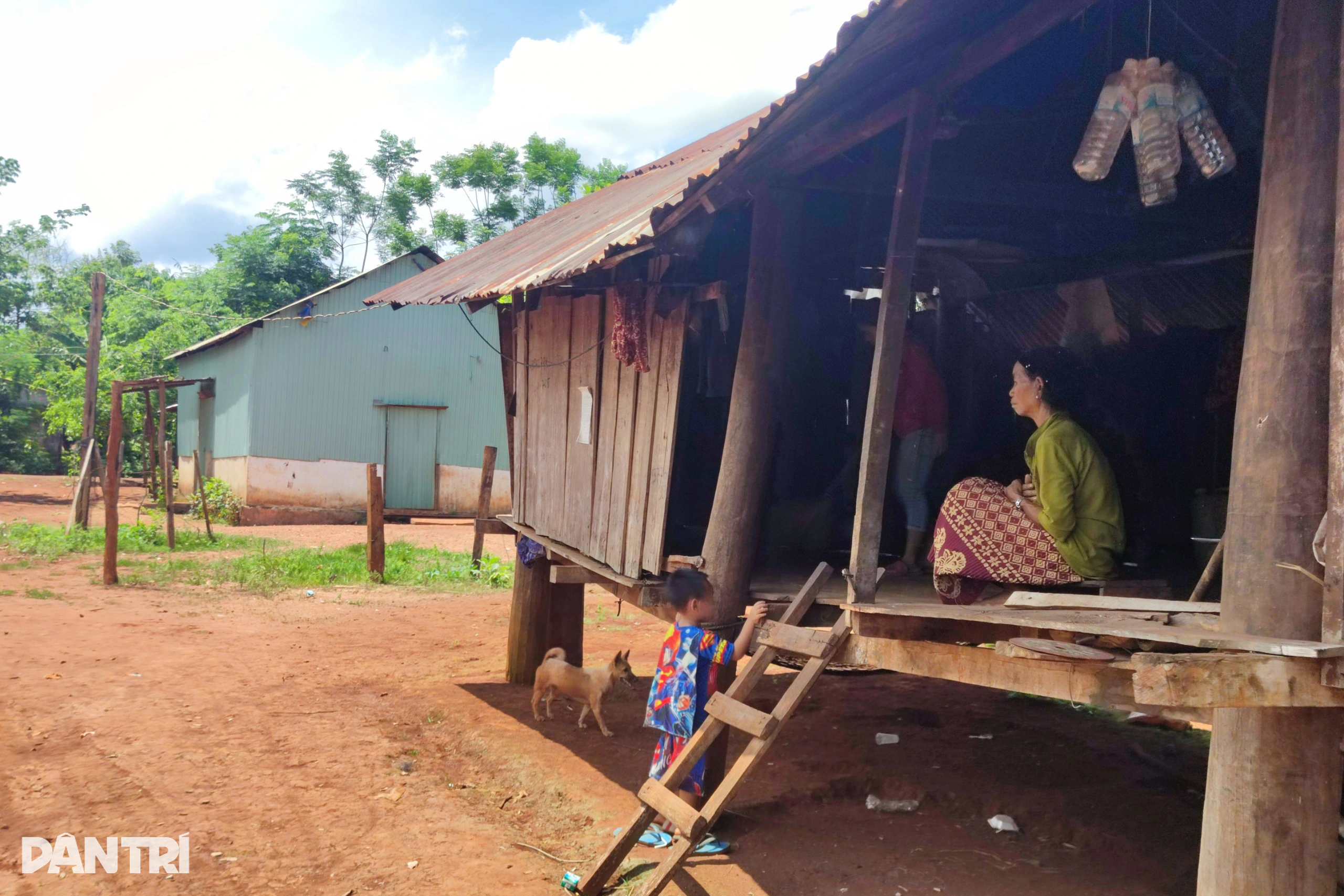 Gia Lai vào cuộc vụ thanh niên tin việc nhẹ lương cao, bị lừa xuất ngoại - 1