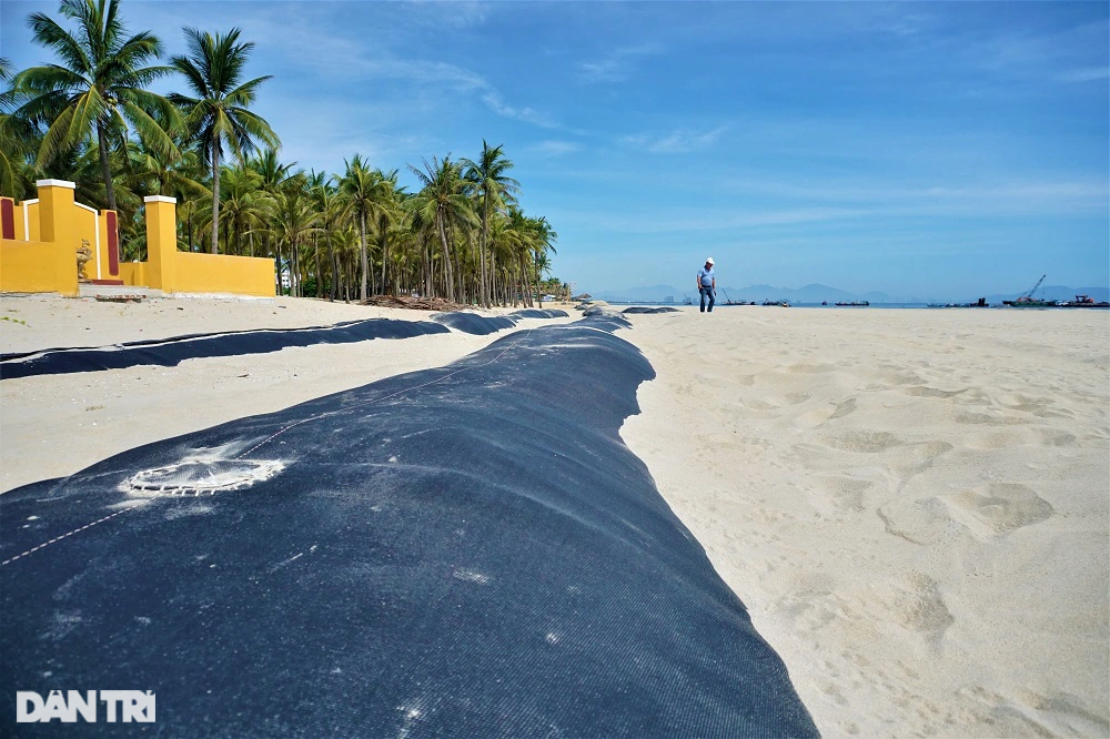 Xe cát Biển Đông để hồi sinh bãi biển từng đẹp nhất Châu Á - 3