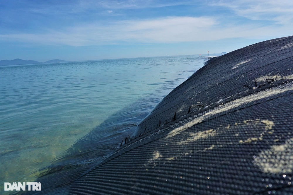 Xe cát Biển Đông để hồi sinh bãi biển từng đẹp nhất Châu Á - 5