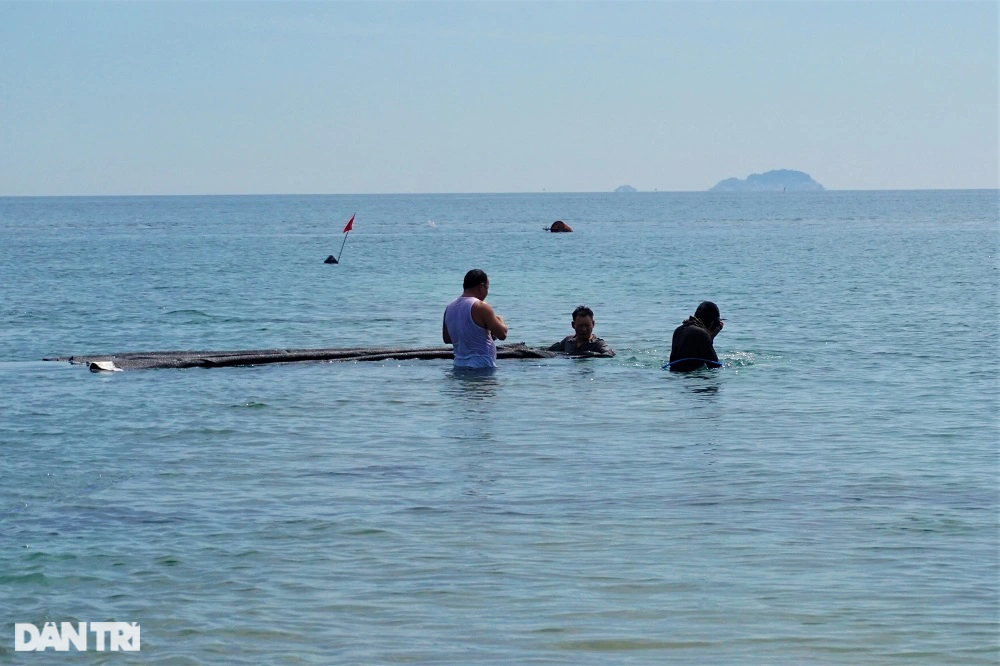 Xe cát Biển Đông để hồi sinh bãi biển từng đẹp nhất Châu Á - 6