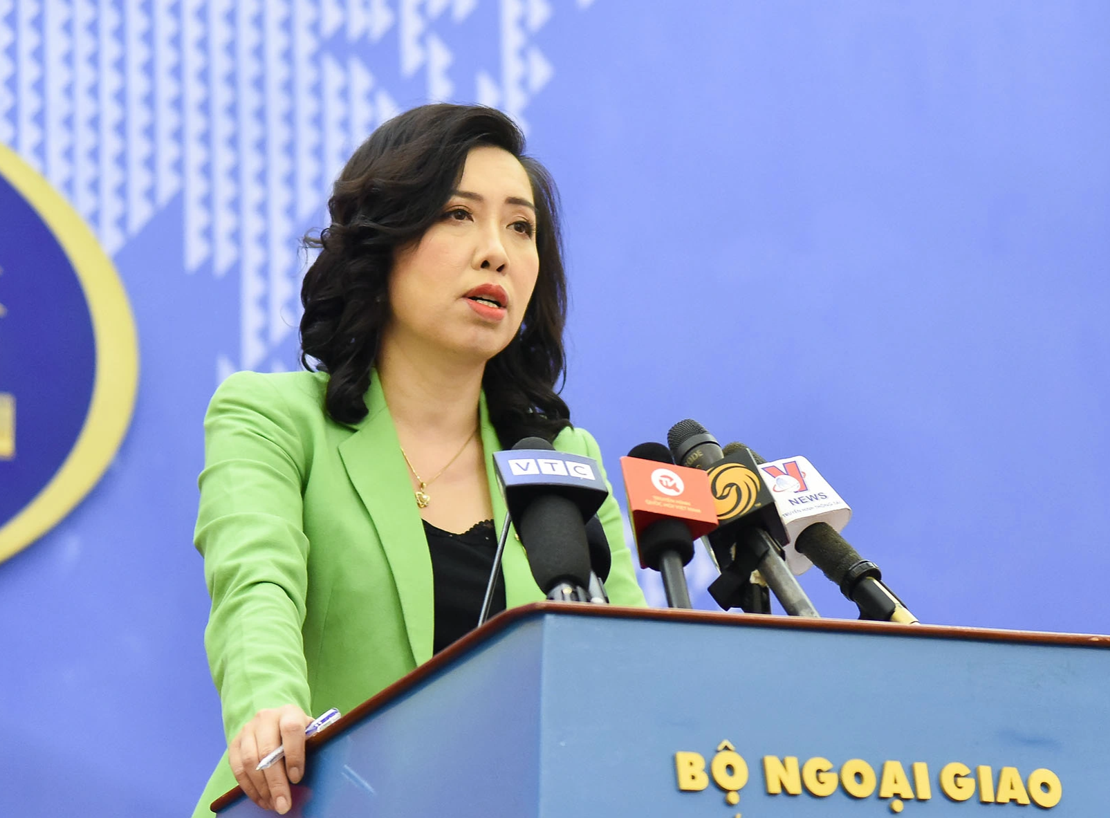 Đại sứ quán Việt Nam theo sát quá trình tố tụng vụ Hồng Đăng, Hồ Hoài Anh - 1