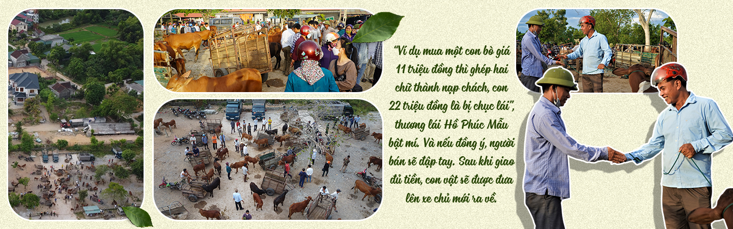 Những chuyện độc nhất vô nhị ở phiên chợ trâu, bò - 3 Những chuyện độc nhất vô nhị ở phiên chợ trâu, bò - 3