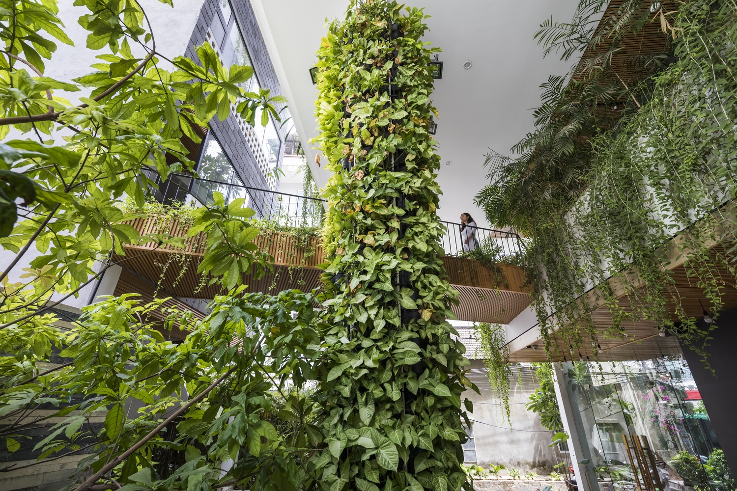 View - Ngắm ngôi nhà đá ong độc lạ như vườn treo Babylon ở Đà Nẵng | Báo Dân trí