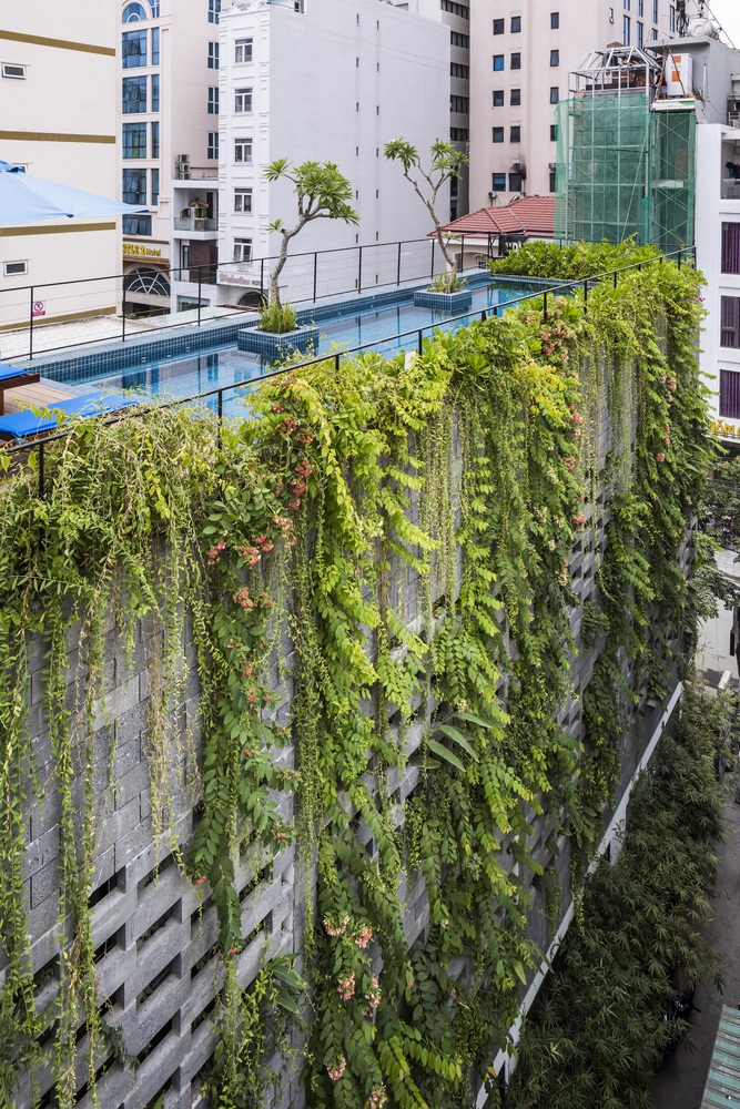 View - Ngắm ngôi nhà đá ong độc lạ như vườn treo Babylon ở Đà Nẵng | Báo Dân trí