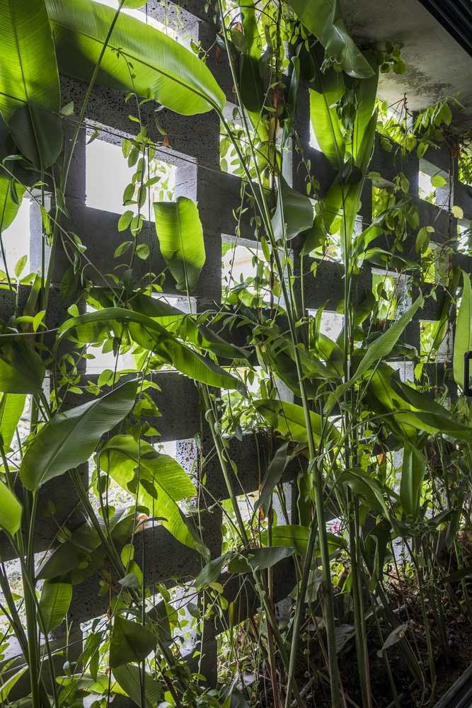 View - Ngắm ngôi nhà đá ong độc lạ như vườn treo Babylon ở Đà Nẵng | Báo Dân trí