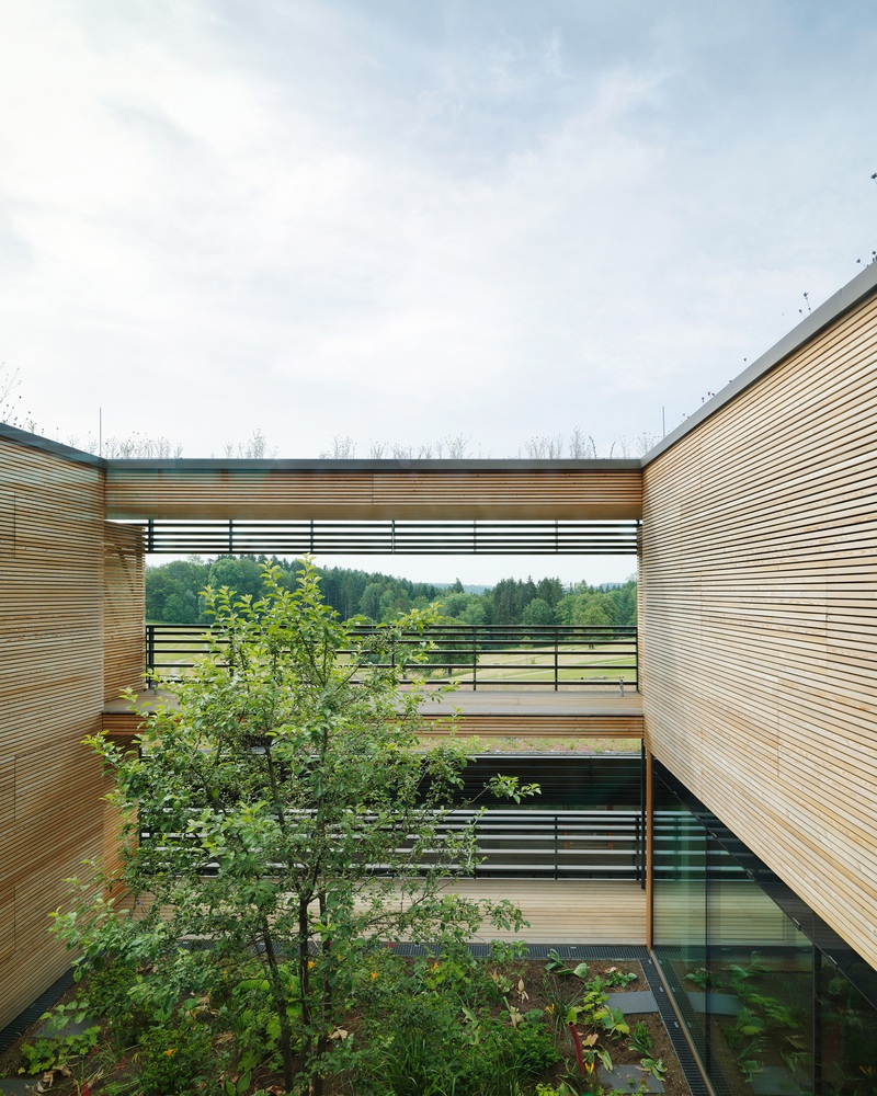 View - Tòa nhà dùng cỏ xanh để làm mái, vừa nhìn đã thấy mướt mắt | Báo Dân trí