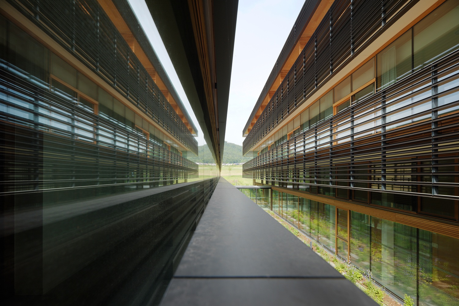 View - Tòa nhà dùng cỏ xanh để làm mái, vừa nhìn đã thấy mướt mắt | Báo Dân trí