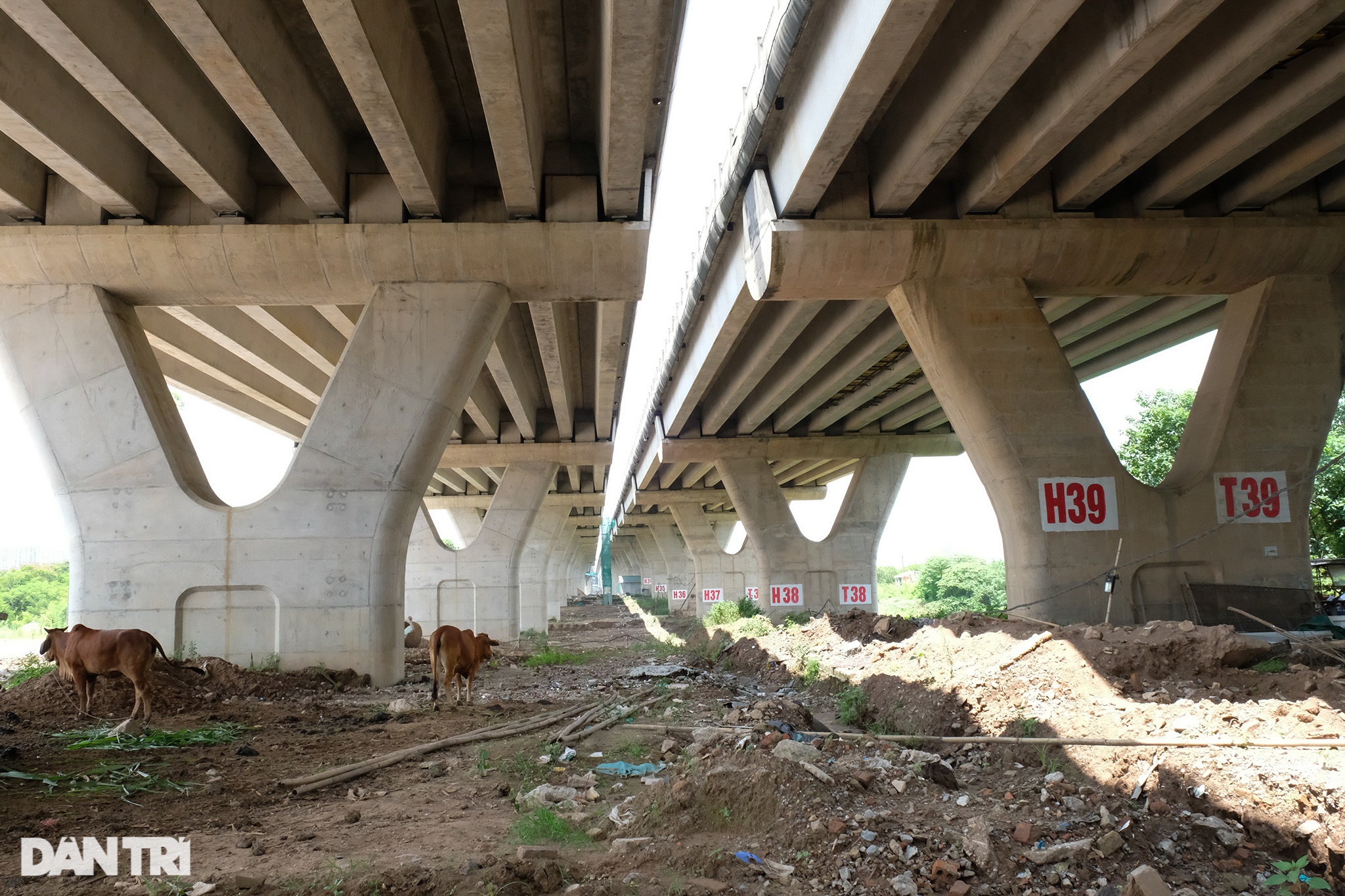 Cảnh hợp long nhịp cầu cạn cuối cùng dự án cầu Vĩnh Tuy giai đoạn 2 - 7