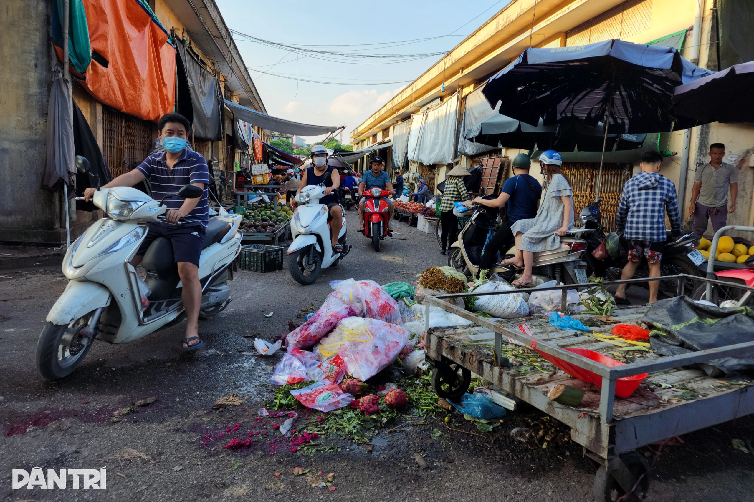 Rác thải nhựa, xác động vật không phân loại ngập ngụa các bãi tập trung - 1