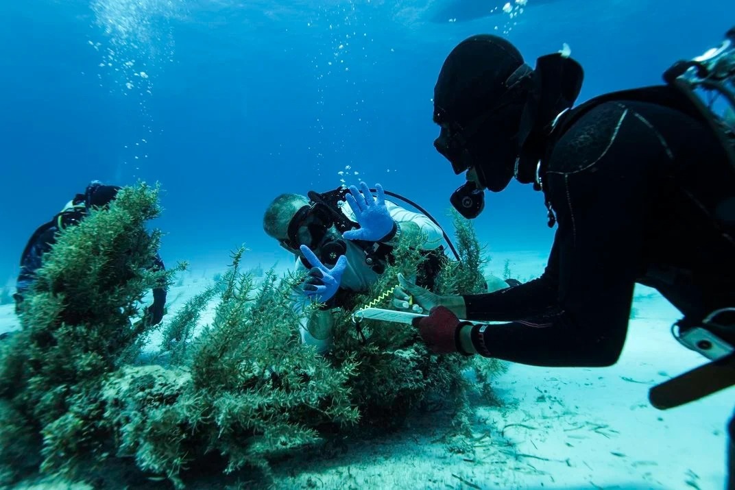 Tìm thấy kho báu nằm sâu dưới đáy đại dương suốt 350 năm - 4