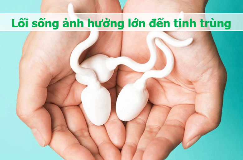 Tinh trùng và những điều bất ngờ: Vẫy đuôi 20 lần/giây, mất 70 ngày để lớn - 3