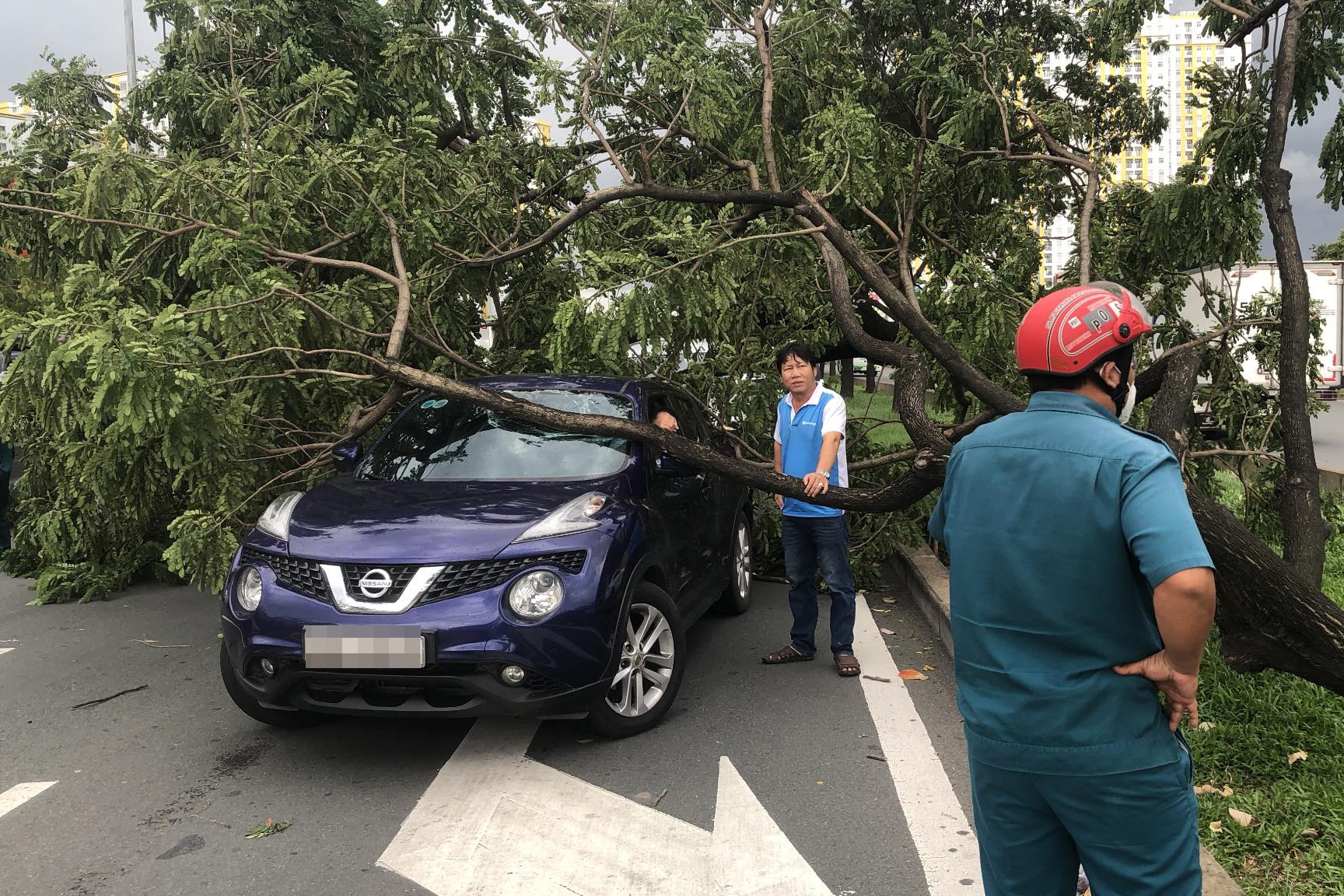 TPHCM: Gió lốc quật ngã hàng loạt cây xanh, đổ đè nhiều ô tô trên đường - 3