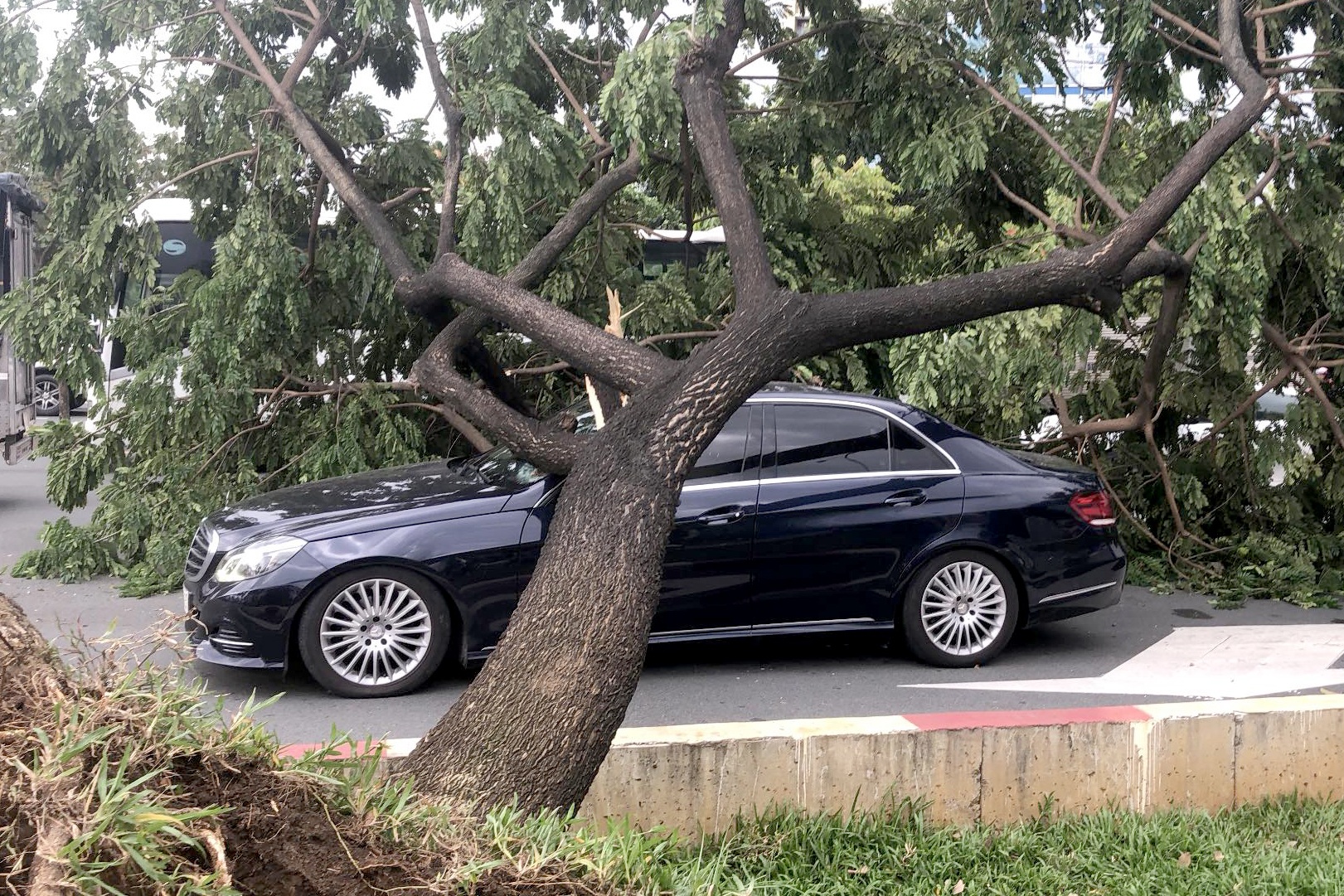 TPHCM: Gió lốc quật ngã hàng loạt cây xanh, đổ đè nhiều ô tô trên đường - 2