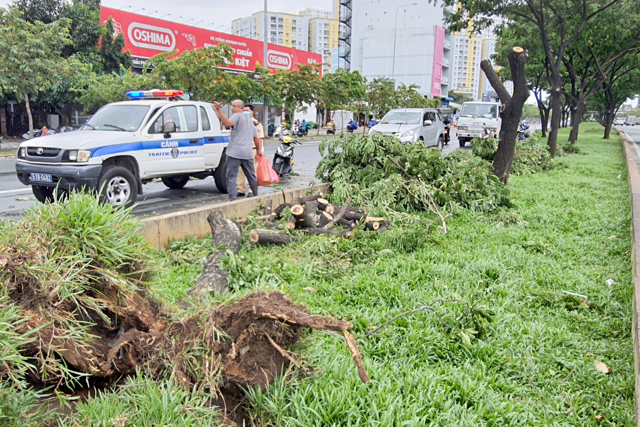 TPHCM: Gió lốc quật ngã hàng loạt cây xanh, đổ đè nhiều ô tô trên đường - 5
