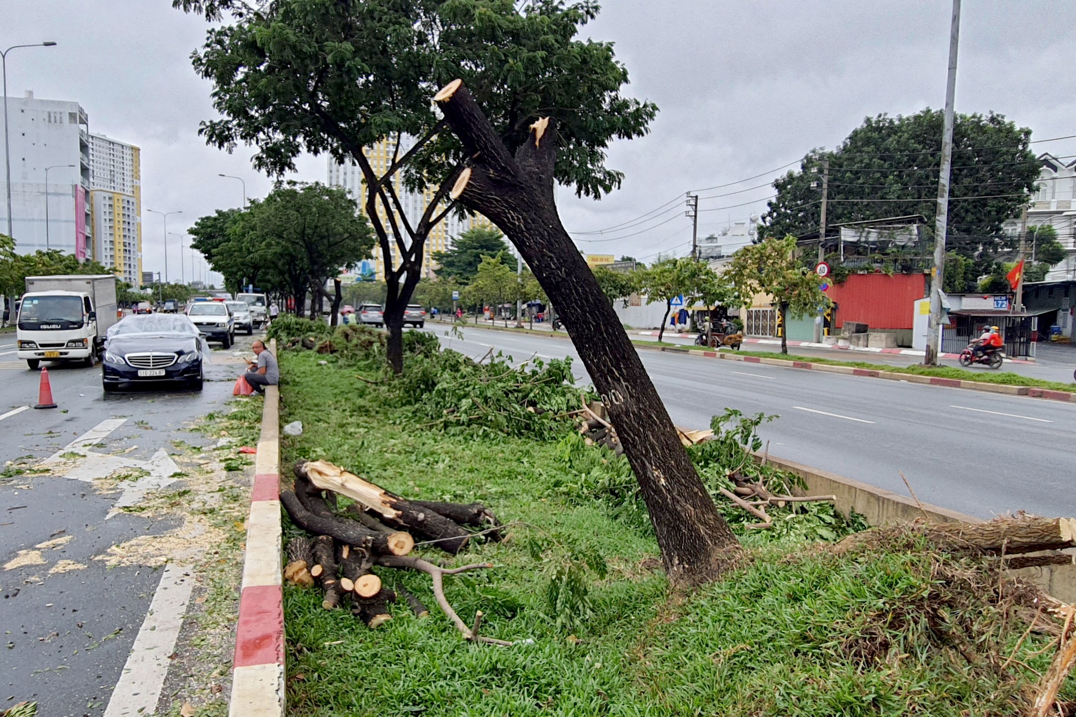 TPHCM: Gió lốc quật ngã hàng loạt cây xanh, đổ đè nhiều ô tô trên đường - 4