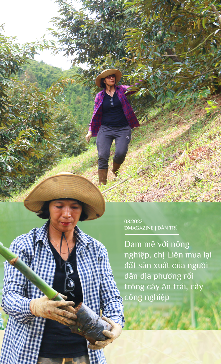 Nữ tiến sĩ bỏ phố lên rừng, lái máy cày, làm nông nghiệp sạch