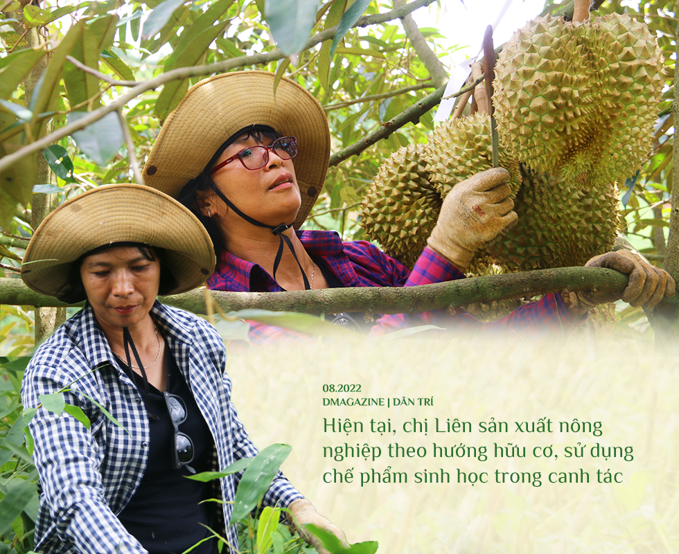 Nữ tiến sĩ bỏ phố lên rừng, lái máy cày, làm nông nghiệp sạch