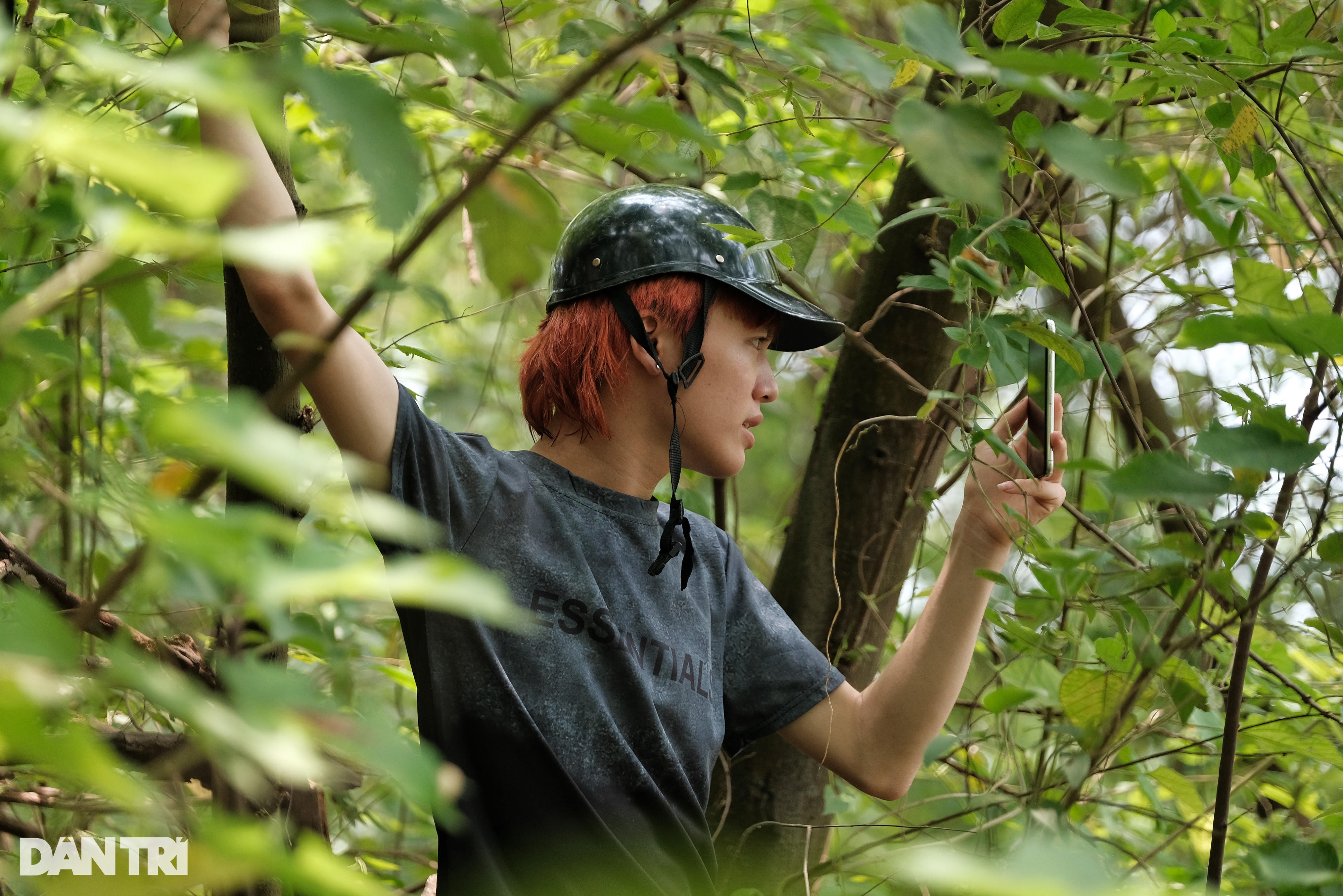 Trèo lên ngọn cây livestream vụ tìm kiếm cô gái mất tích ở Hà Nội - 7