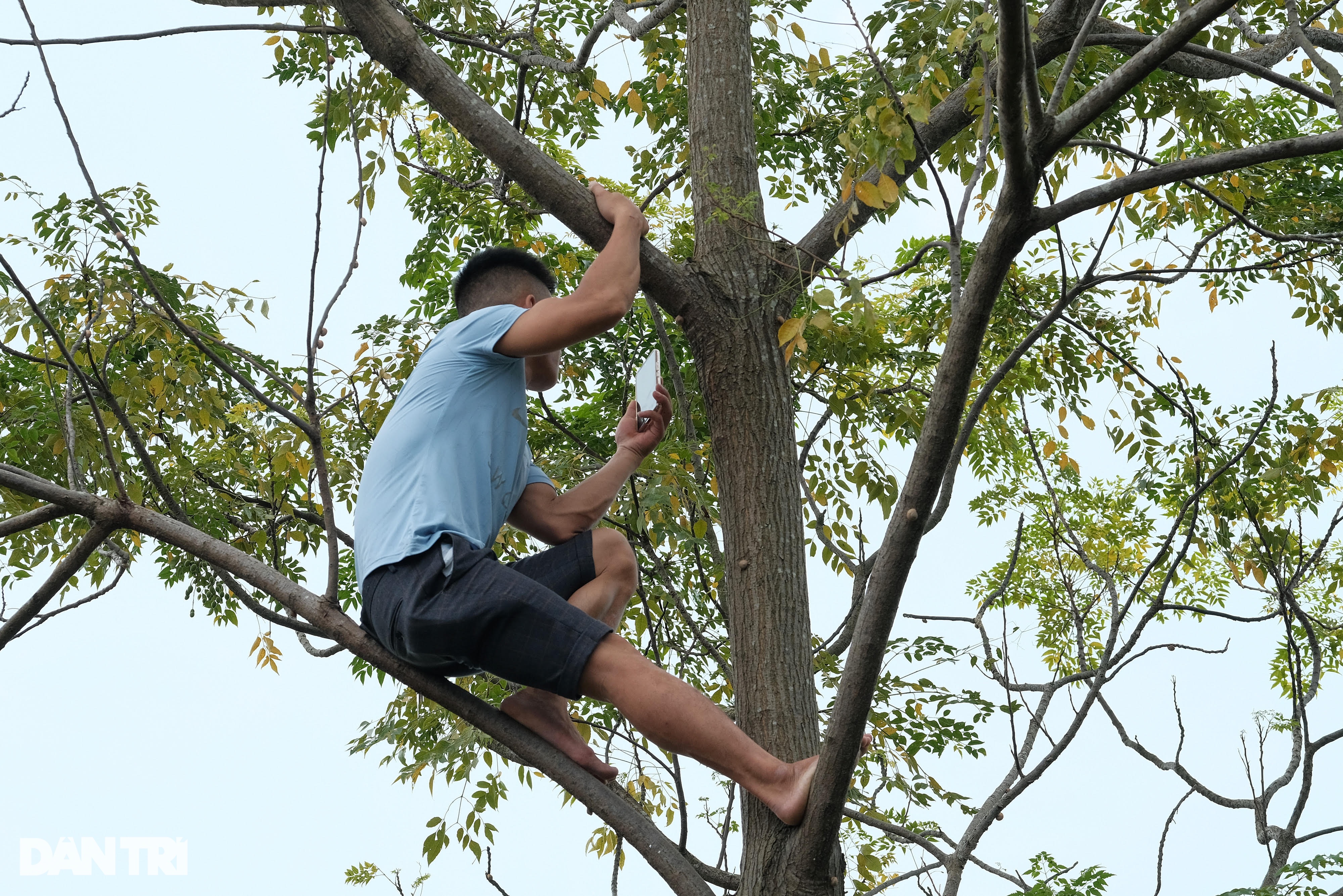 Trèo lên ngọn cây livestream vụ tìm kiếm cô gái mất tích ở Hà Nội - 9