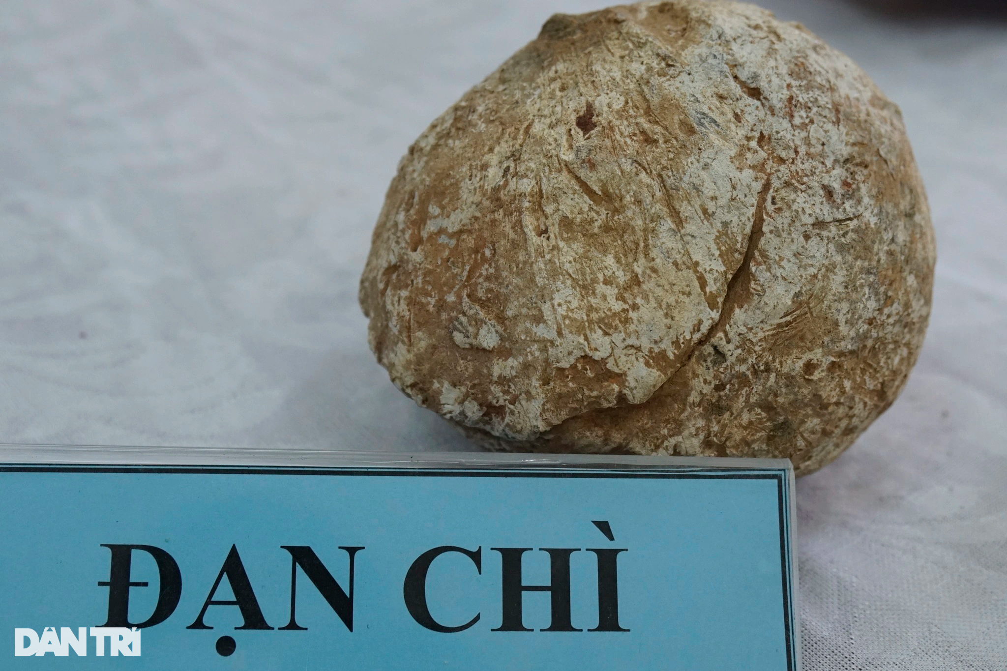 Khai quật phế tích cổ hơn 1.500 năm của người Chăm ở Bình Định - 10 Khai quật phế tích cổ hơn 1.500 năm của người Chăm ở Bình Định - 10