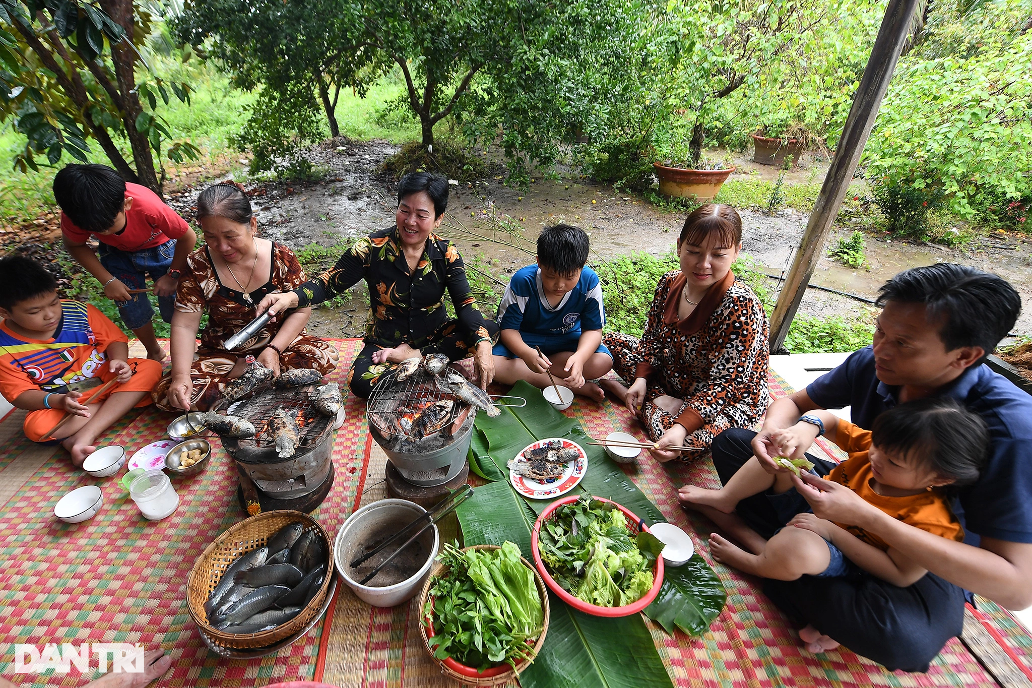 &quot;Thạc sĩ nông dân&quot; ở Cà Mau thu bạc tỷ nhờ ươm cây giống và nuôi cá rô đồng - Ảnh 10.