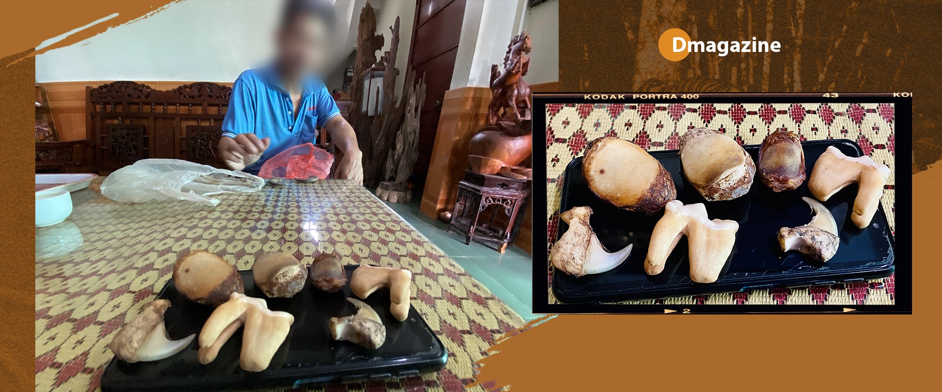 Thế giới ngầm ranh mãnh của những trùm buôn hổ trên chợ mạng - 17 Thế giới ngầm ranh mãnh của những trùm buôn hổ trên chợ mạng - 17