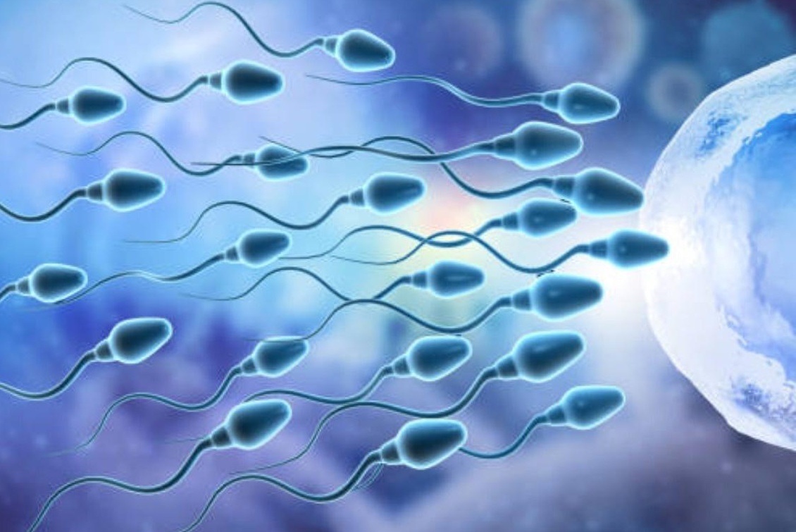 Những yếu tố cản trở việc sản xuất tinh trùng nam giới cần biết - 1