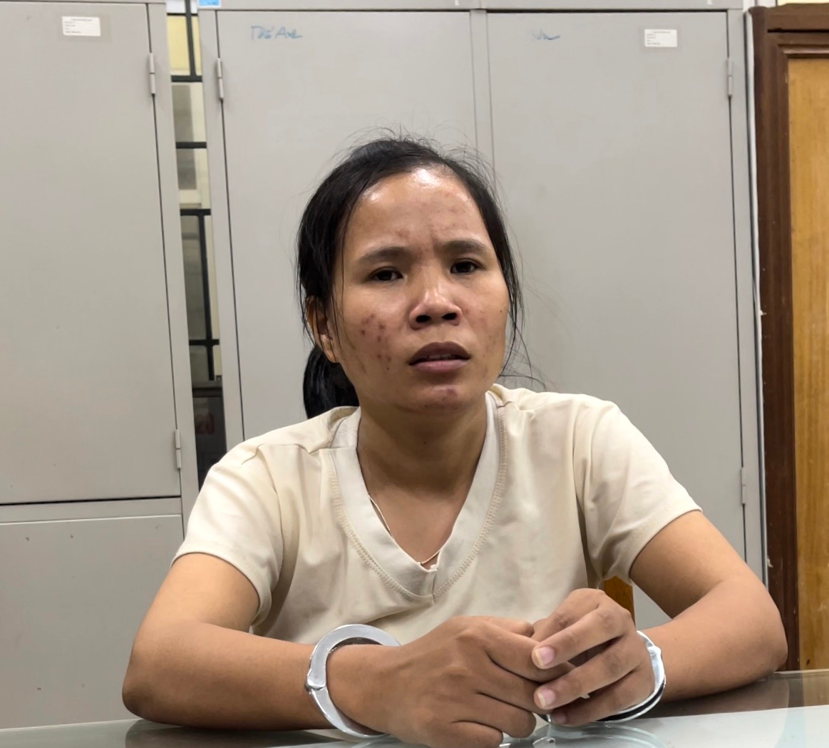 Kế hoạch bắt cóc trẻ sơ sinh của nữ công nhân Hà Nội - 1
