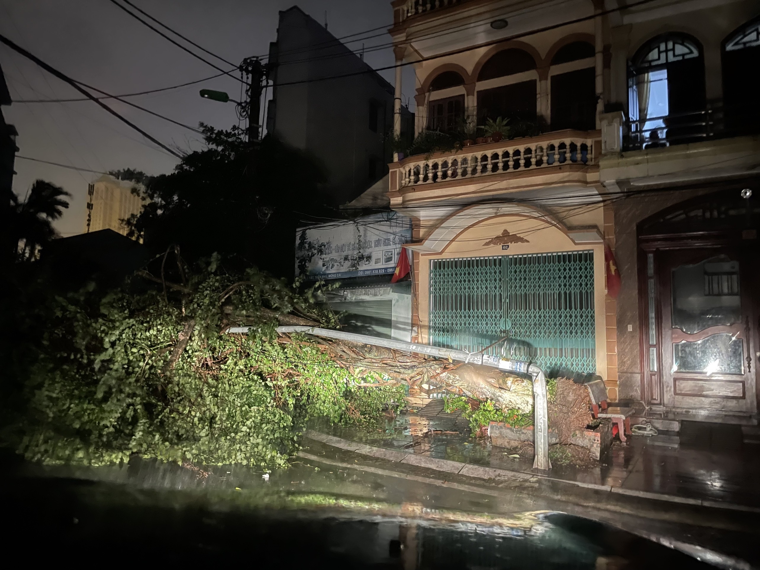 Bão Maon quật đổ nhiều cây xanh ở Quảng Ninh, toàn TP Móng Cái mất điện - 2