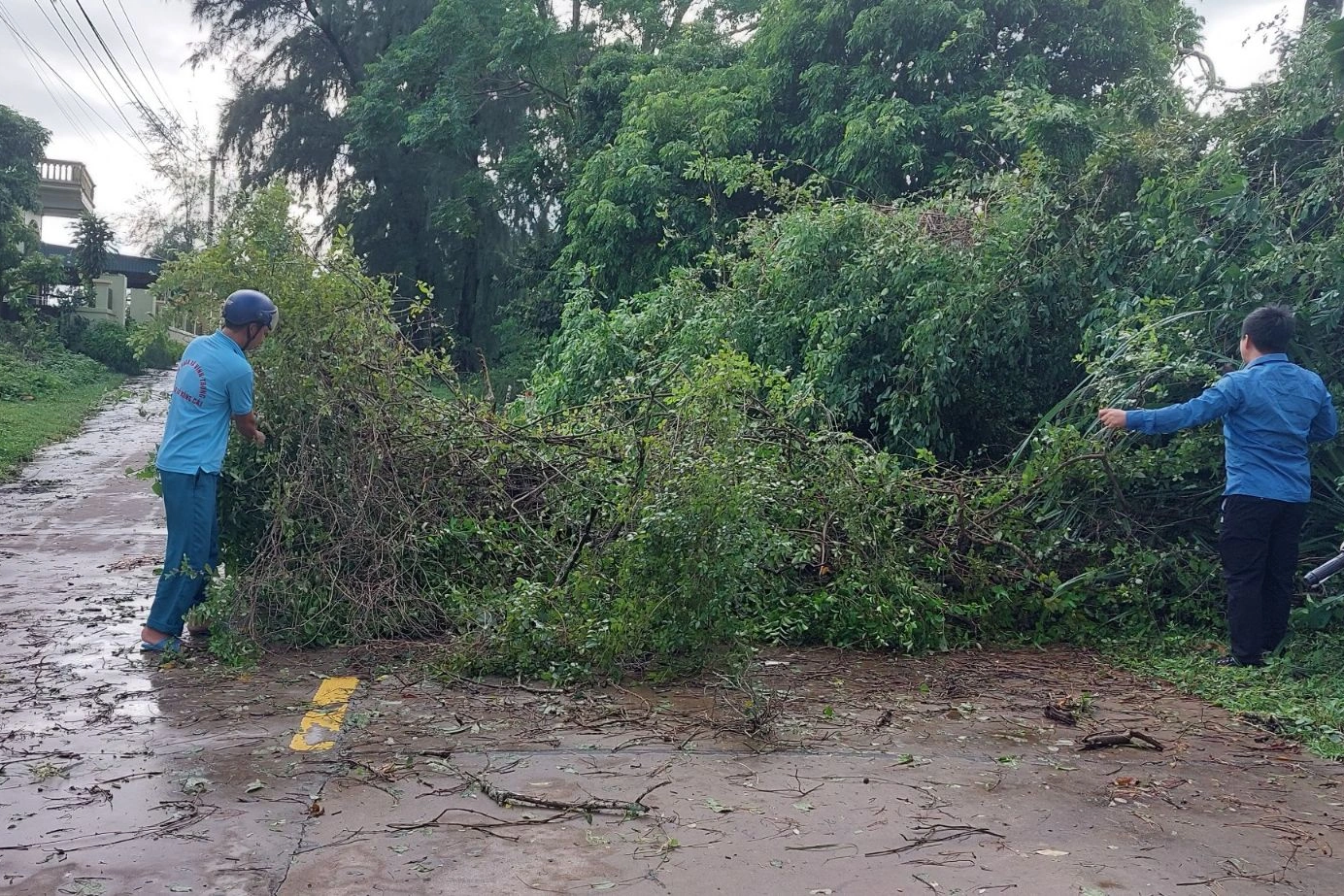 Gần 300 cây xanh, cột điện gãy đổ tại Quảng Ninh, Hải Phòng - 4