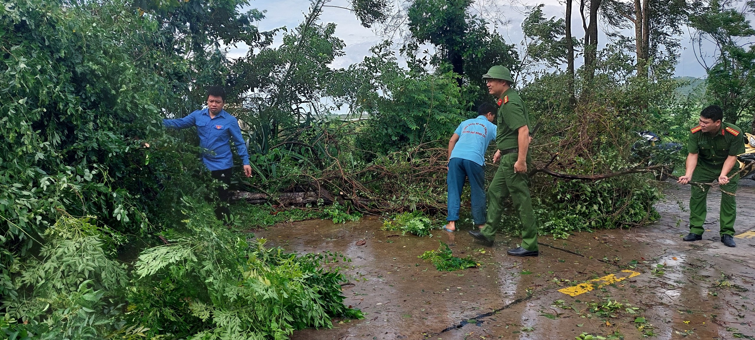 Gần 300 cây xanh, cột điện gãy đổ tại Quảng Ninh, Hải Phòng - 5