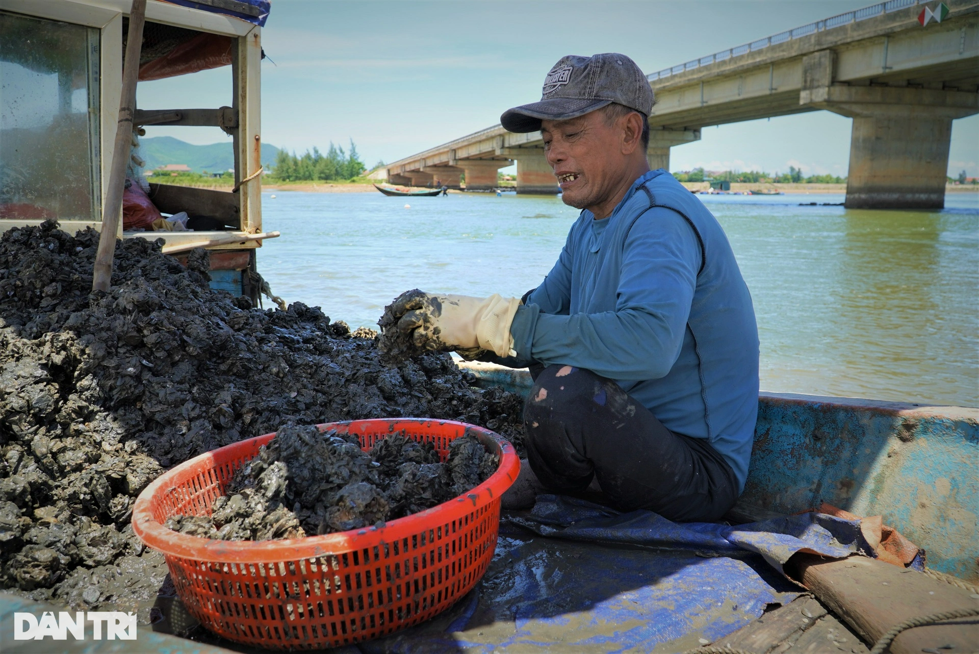 Săn thức ăn cho tôm hùm, kiếm tiền triệu mỗi ngày - Ảnh 8.