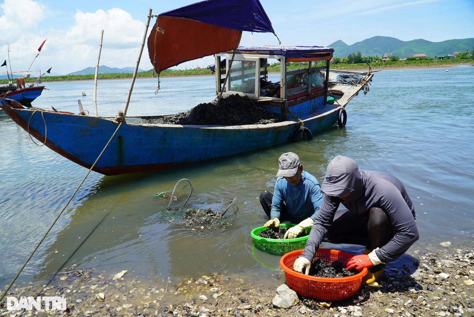 Săn thức ăn cho tôm hùm, kiếm tiền triệu mỗi ngày - Ảnh 9.